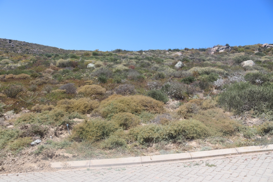 0 Bedroom Property for Sale in St Helena Views Western Cape